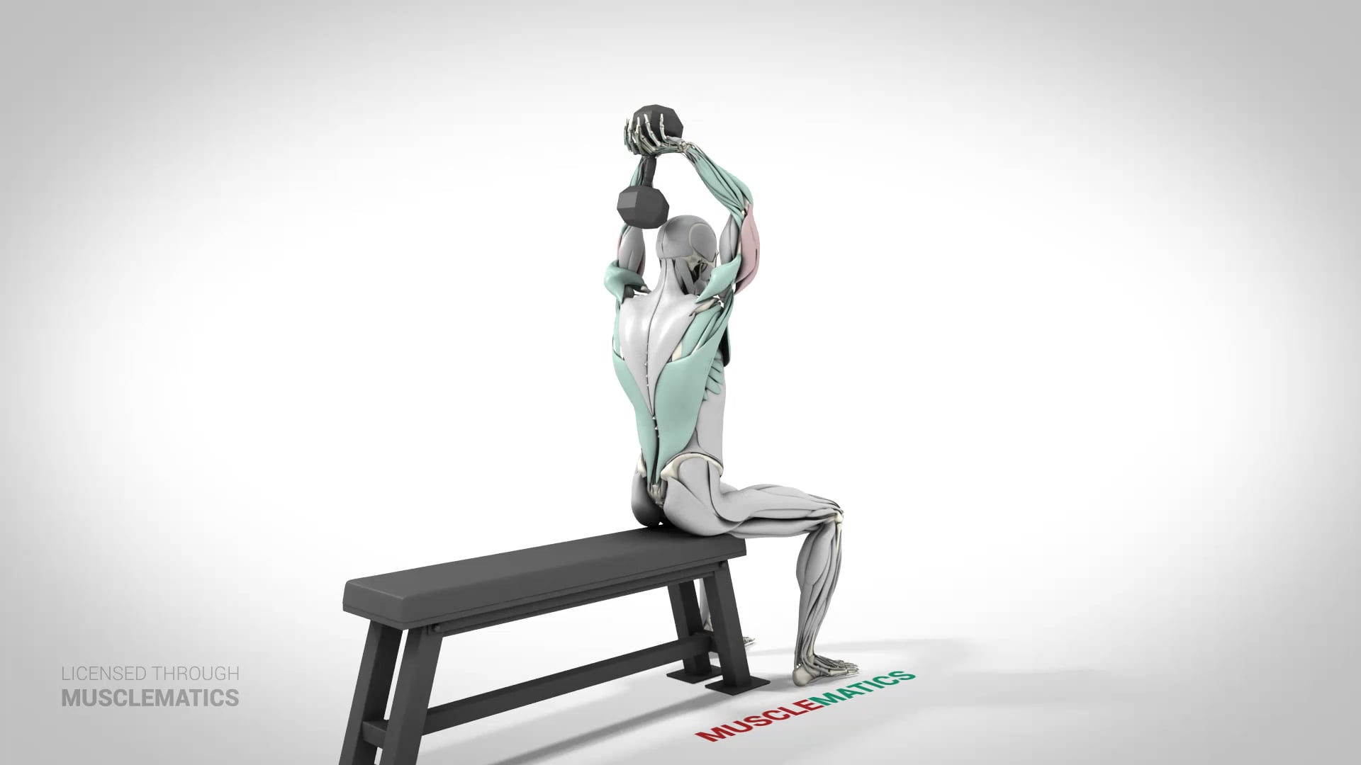 Seated Dumbbell Triceps Extensions - (View 2)