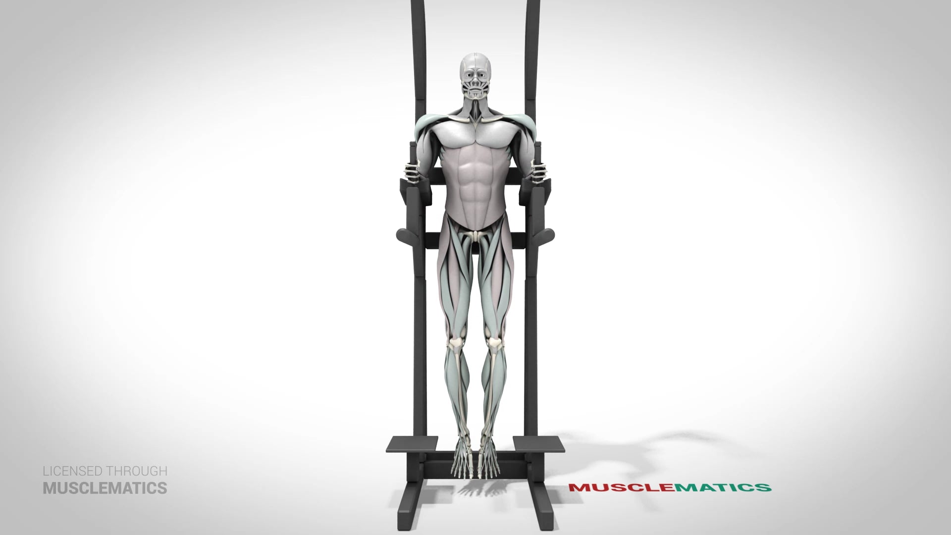 Leg Raises (Bent Leg) - (View 3)