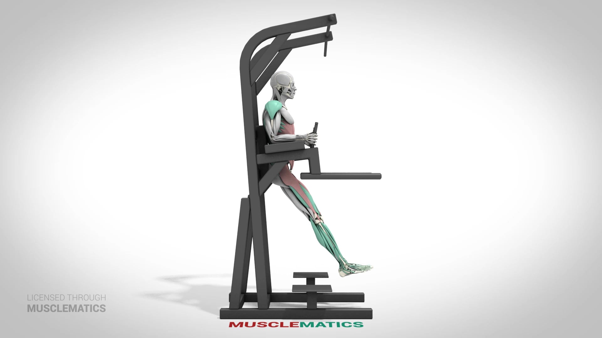 Leg Raises (Straight Leg) - (View 1)