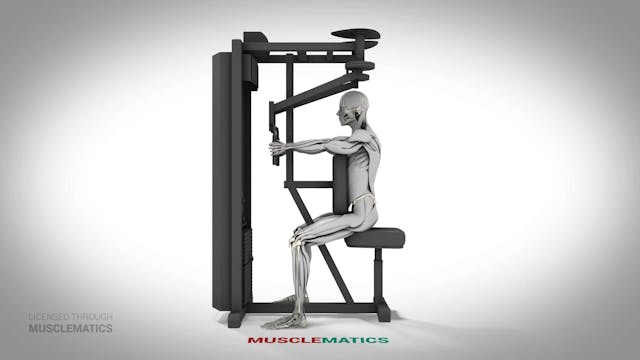 Pec Deck Rear-Delt Laterals - (All Vi...