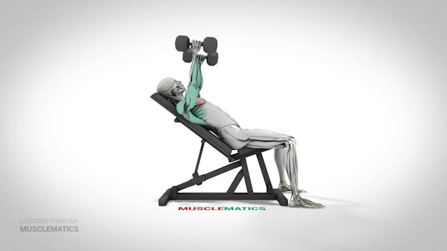 Incline Dumbbell Flys - (View 2)