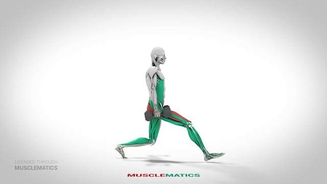 Dumbbell Lunges - (View 2)