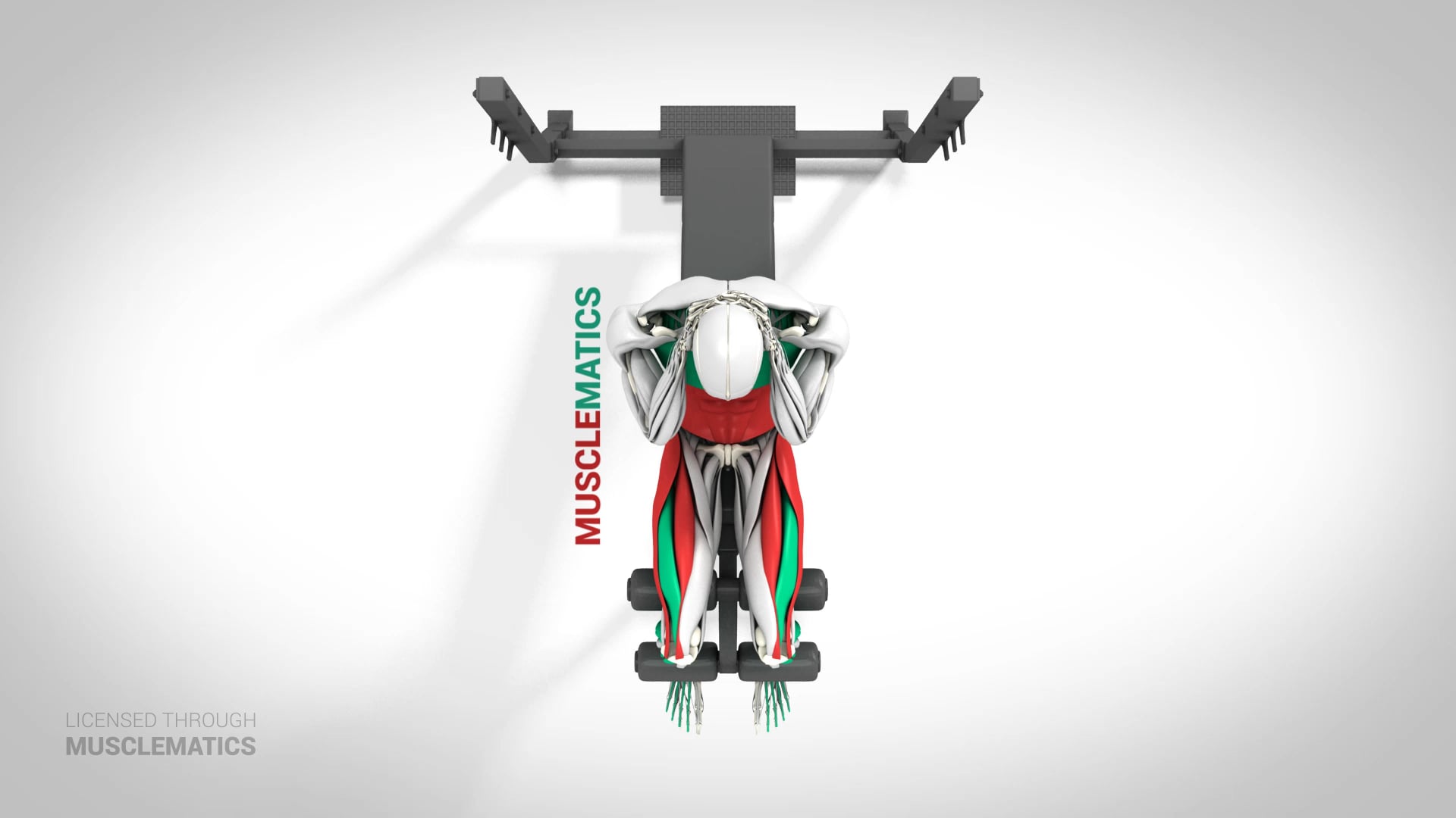 Incline Bench Sit-Ups - (View 1)