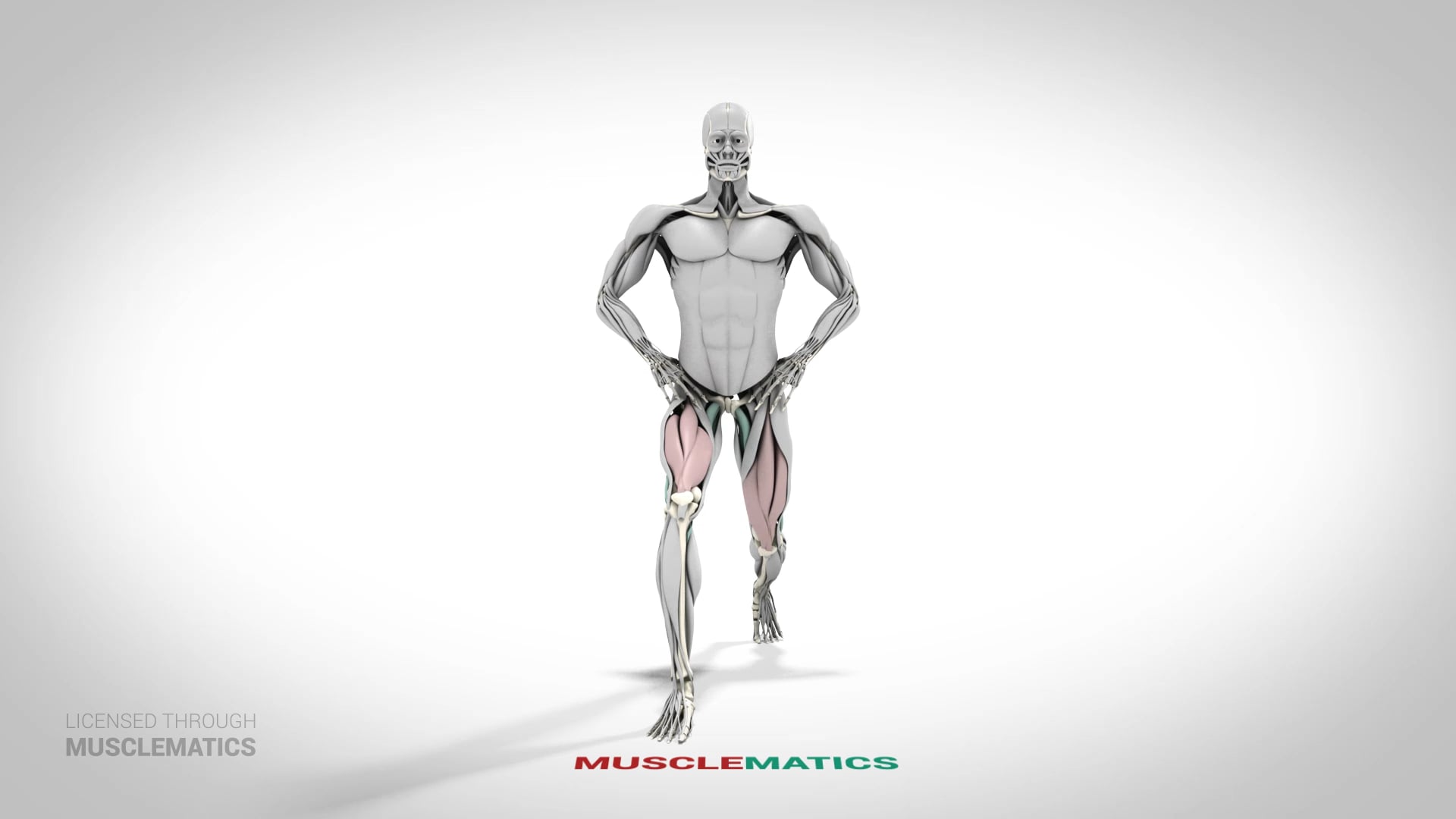 Static Lunge - (View 1)