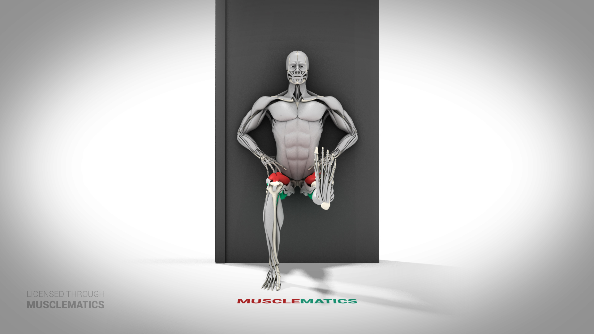 One-Legged Wall Squat - (All Views) - LEFT