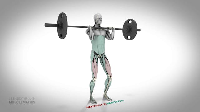 Front Squats - (All Views)