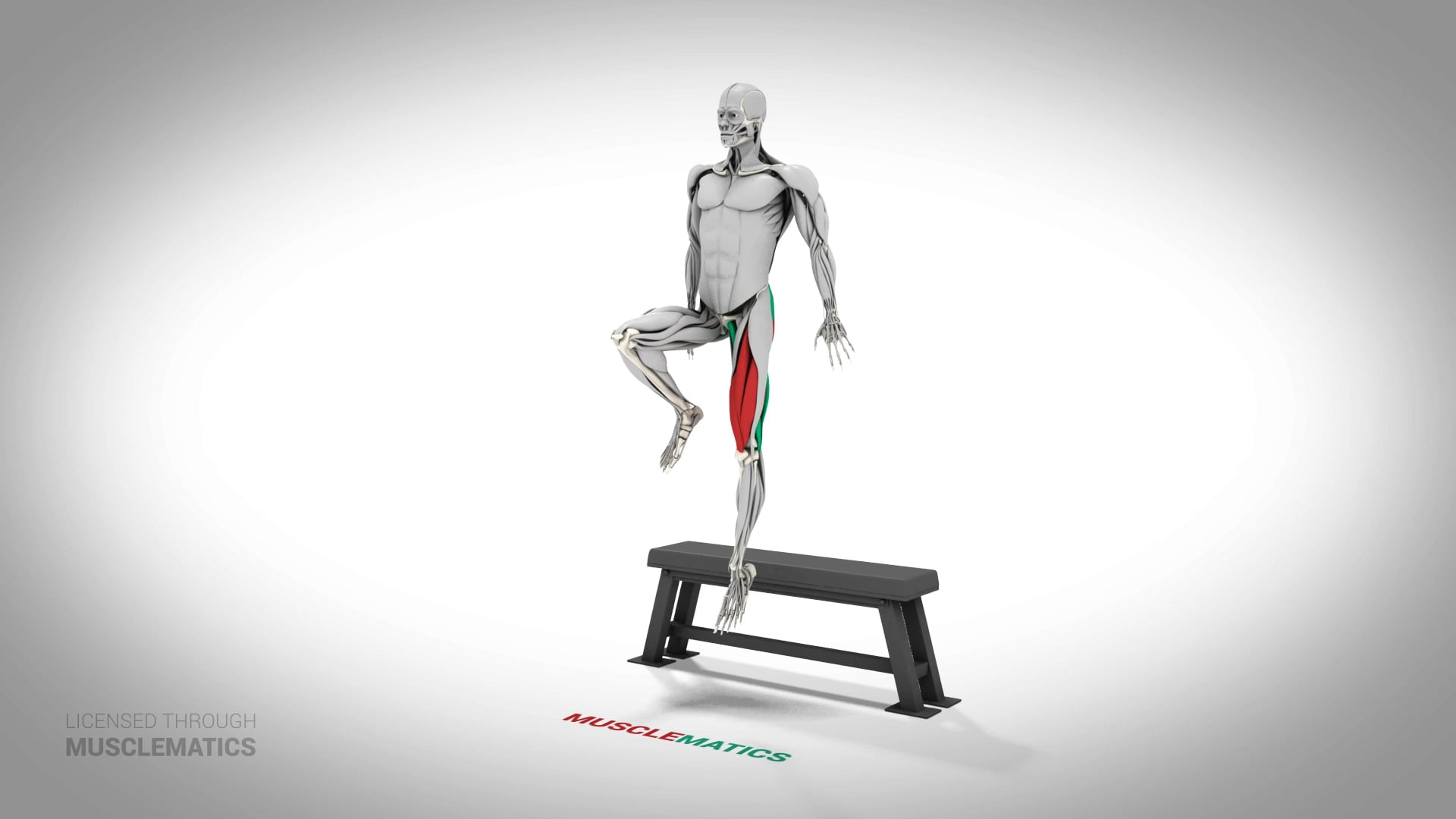 Jumping Single-Leg Box Squat - (All Views) - LEFT