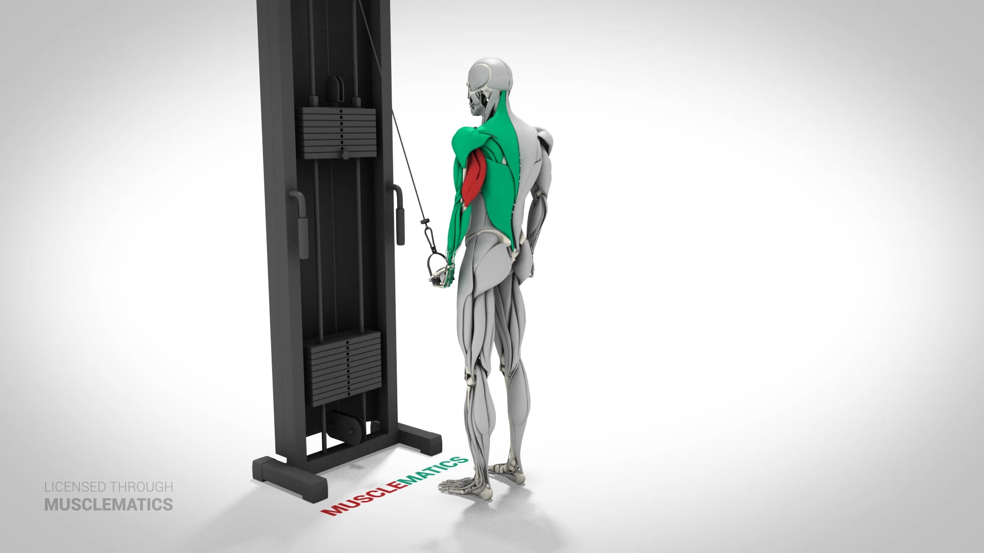 One-Arm Reverse Push-Downs - (View 3) - LEFT