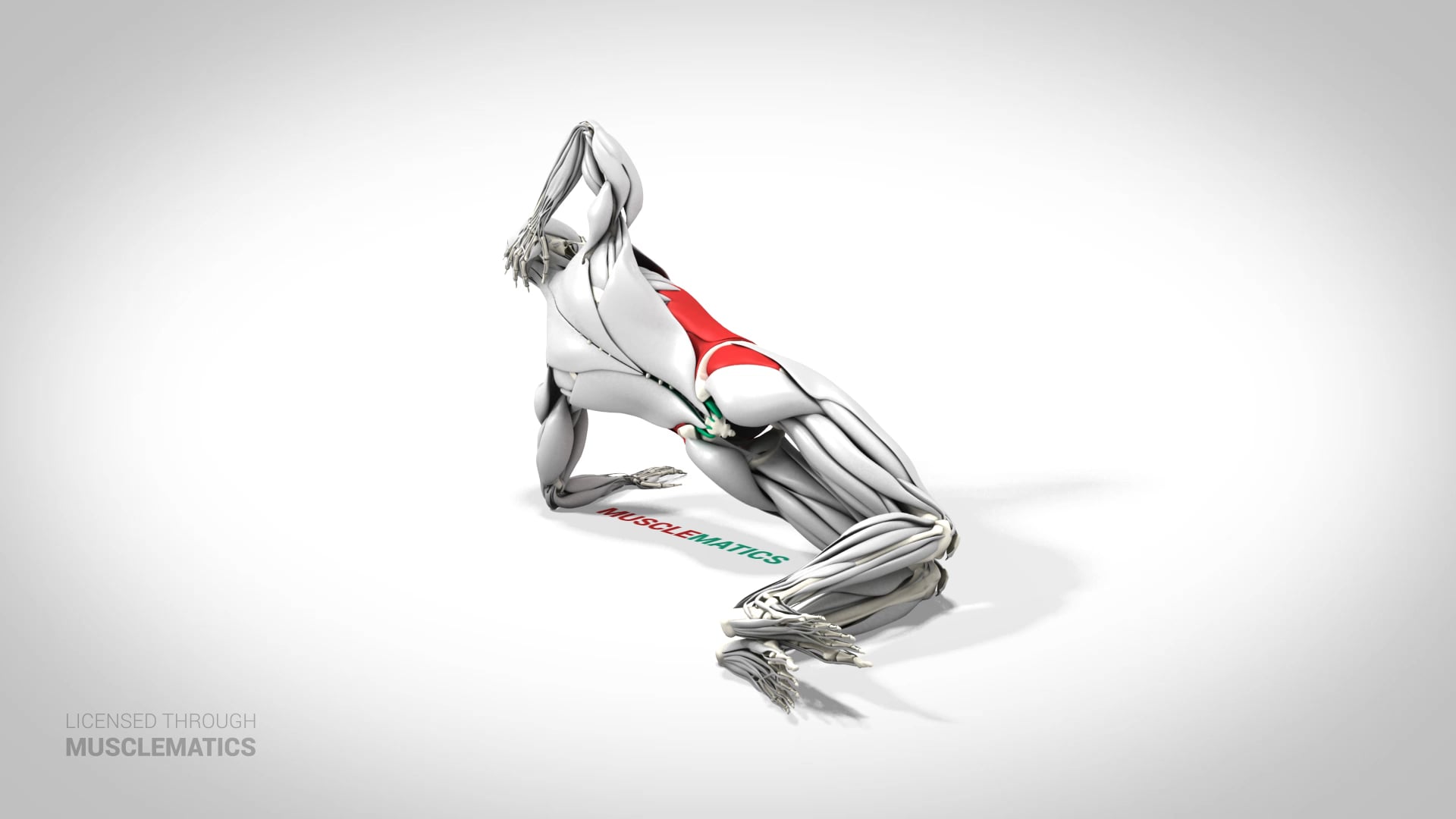 Side Plank On Knees - (View 3)