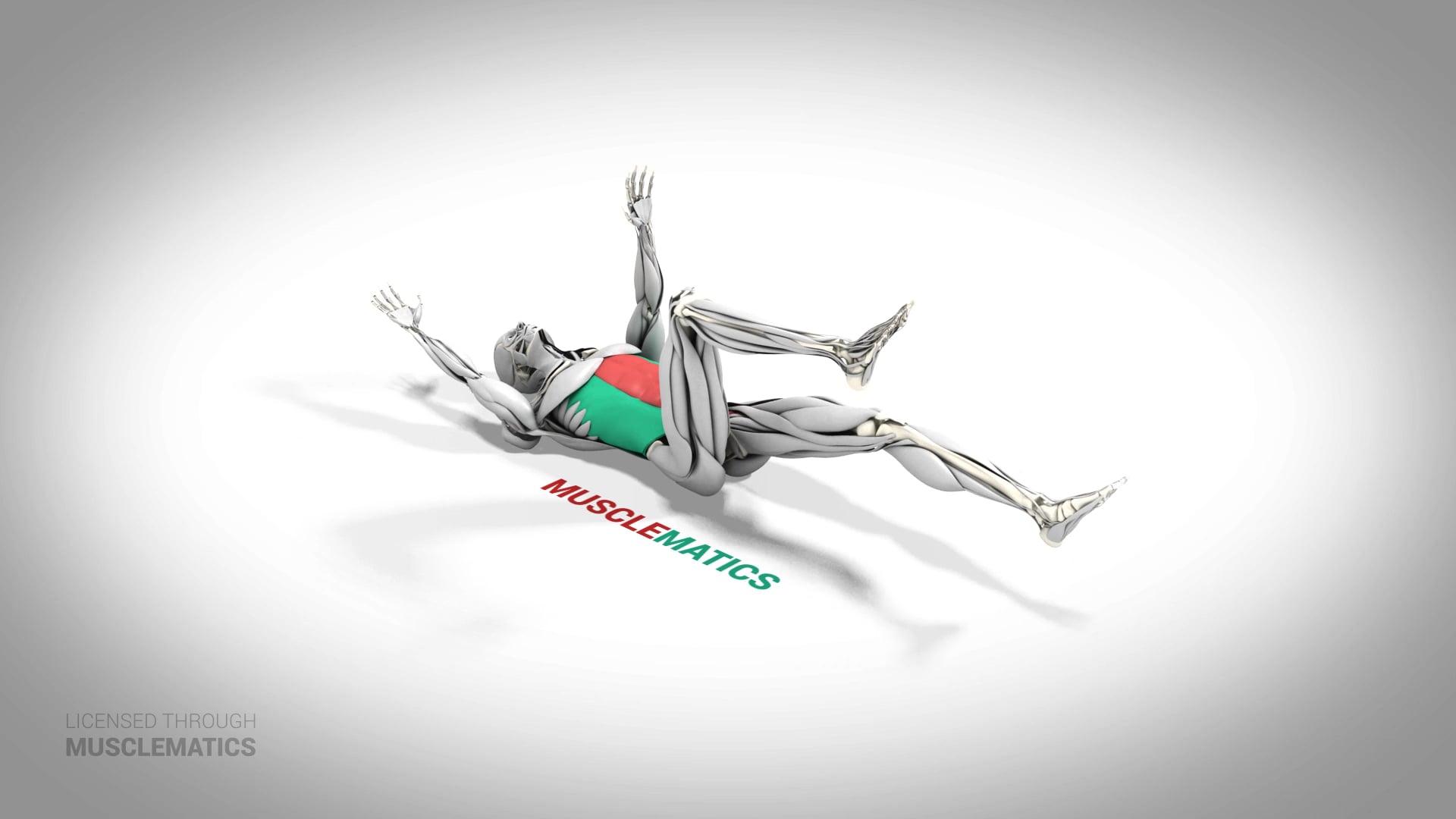 Dead Bug - (All Views)