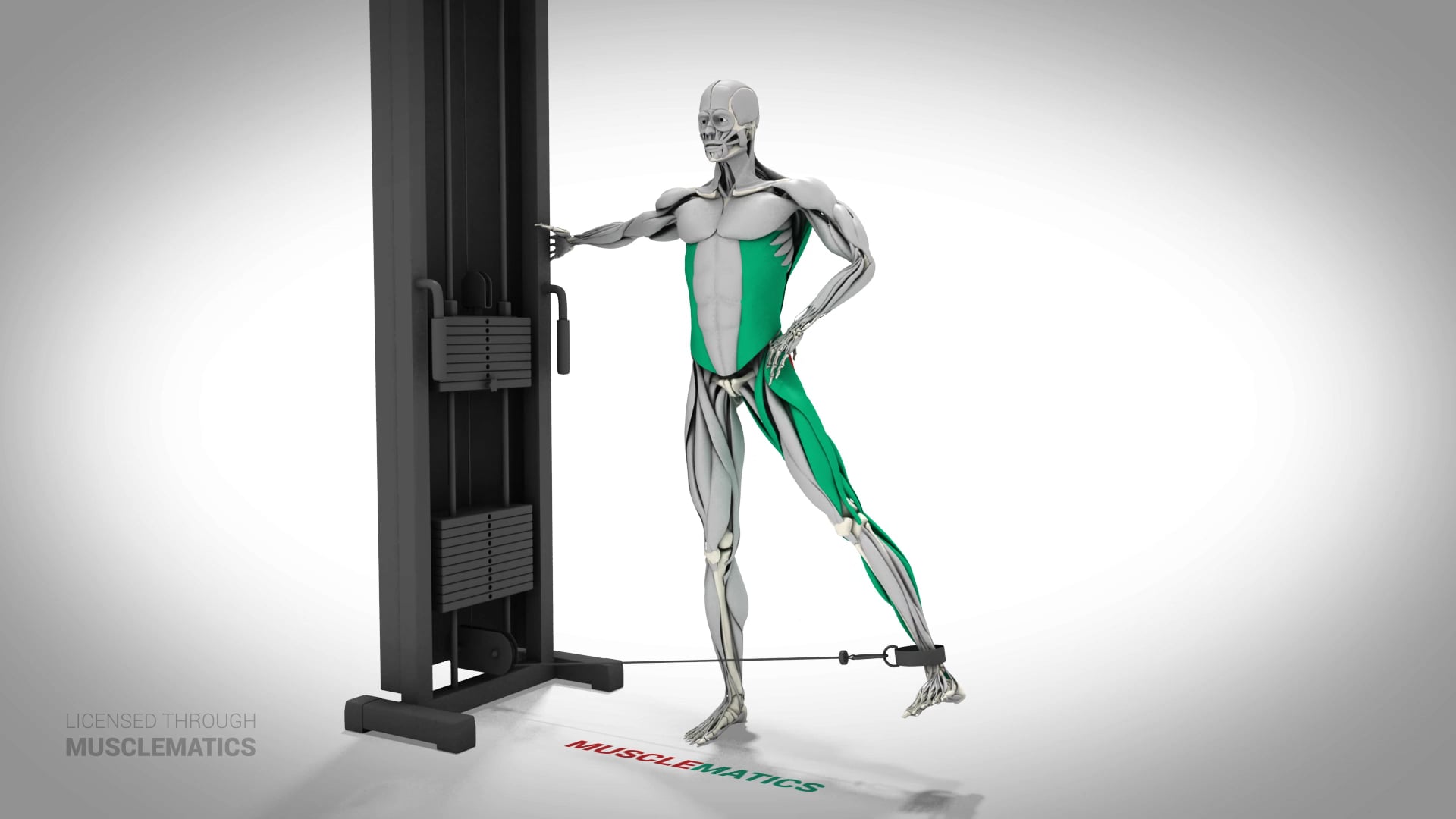 Cable Hip Abductions - (All Views) - LEFT