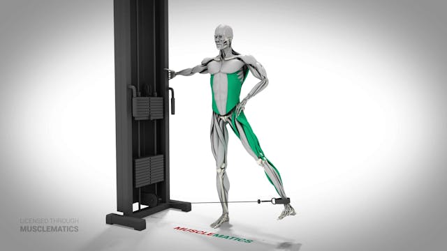 Cable Hip Abductions - (All Views) - ...