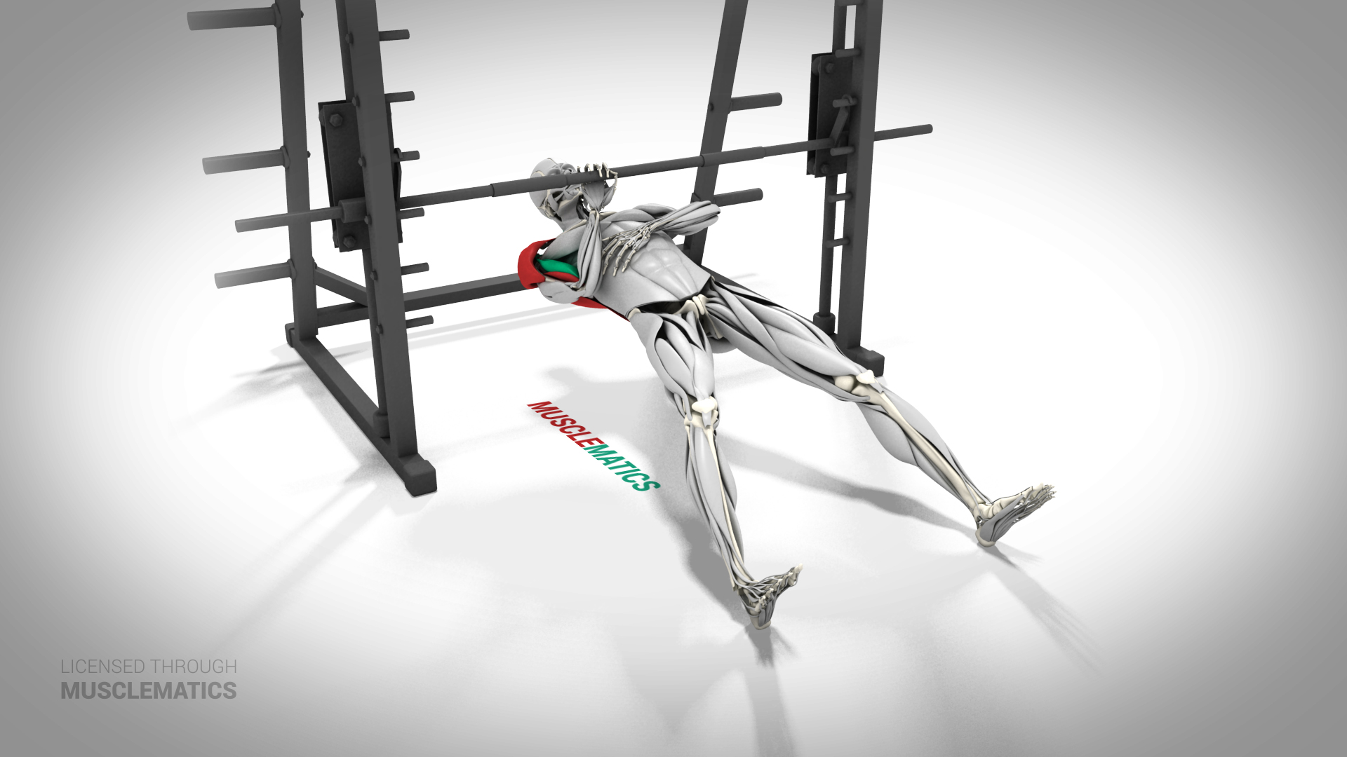 One-Arm Inverted Row - (All Views)