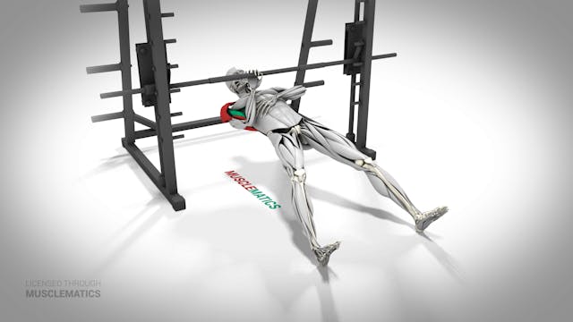 One-Arm Inverted Row - (All Views)