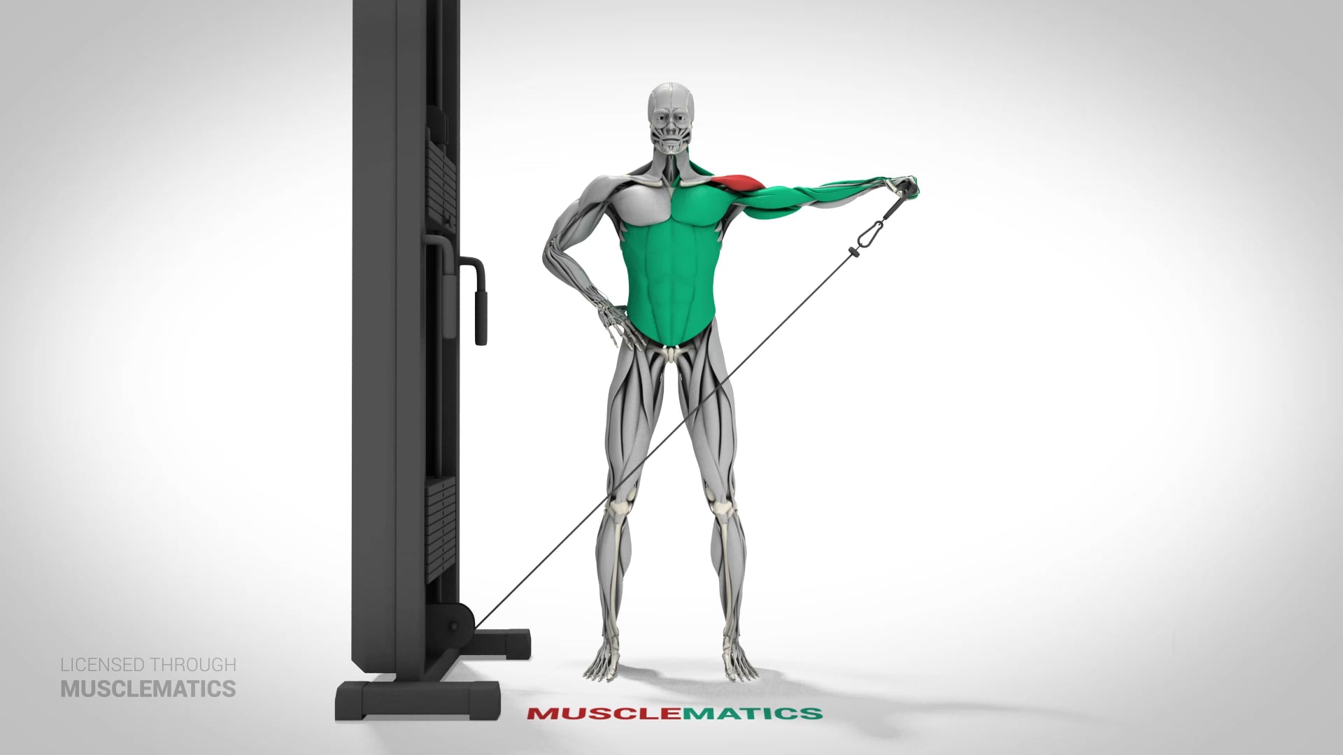 Low-Pulley Lateral Raises - (View 1) - LEFT
