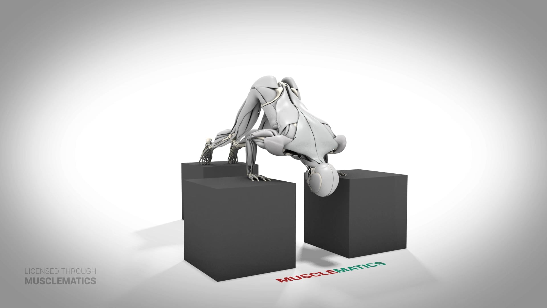 Three-Point Pike Push-Up - (All Views)