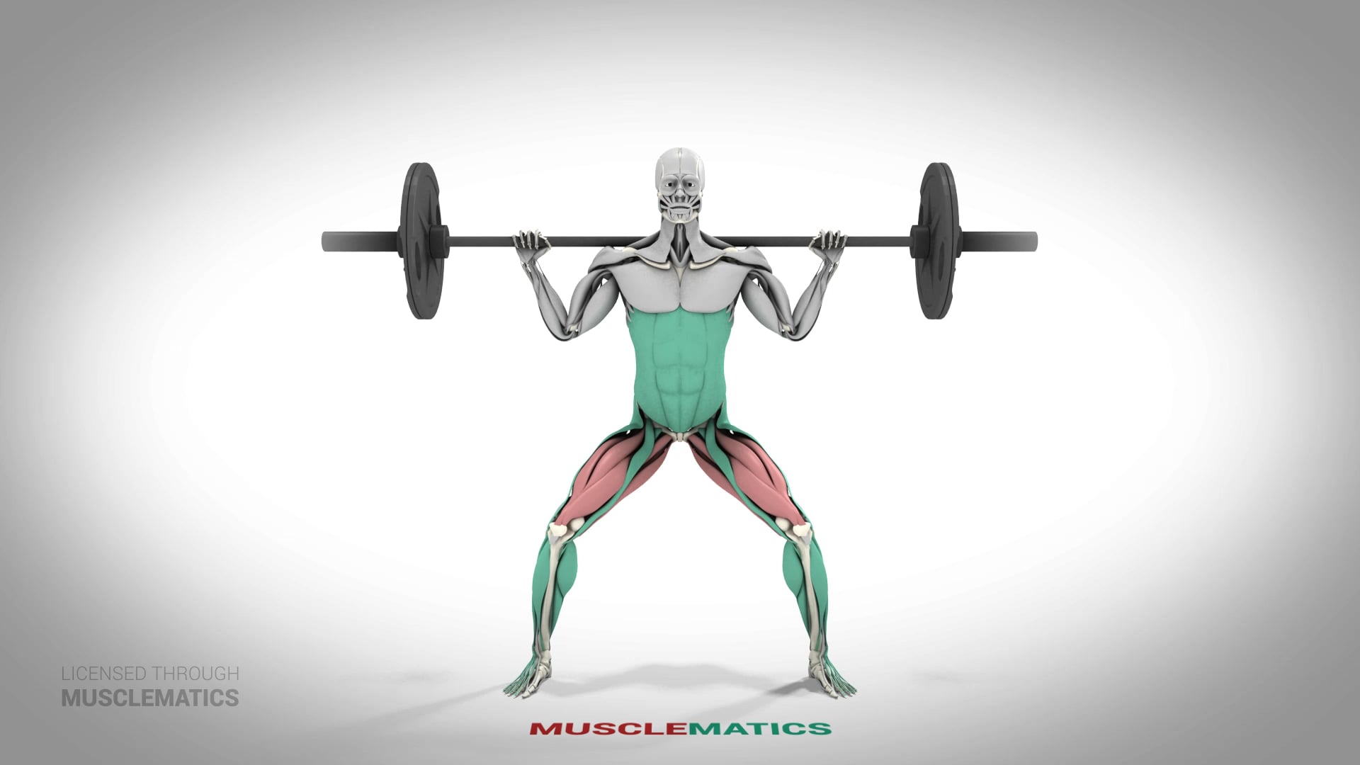 musclematics vs imuscle 2 reddit