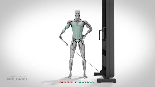 Low-Pulley Lateral Raises - (View 1)