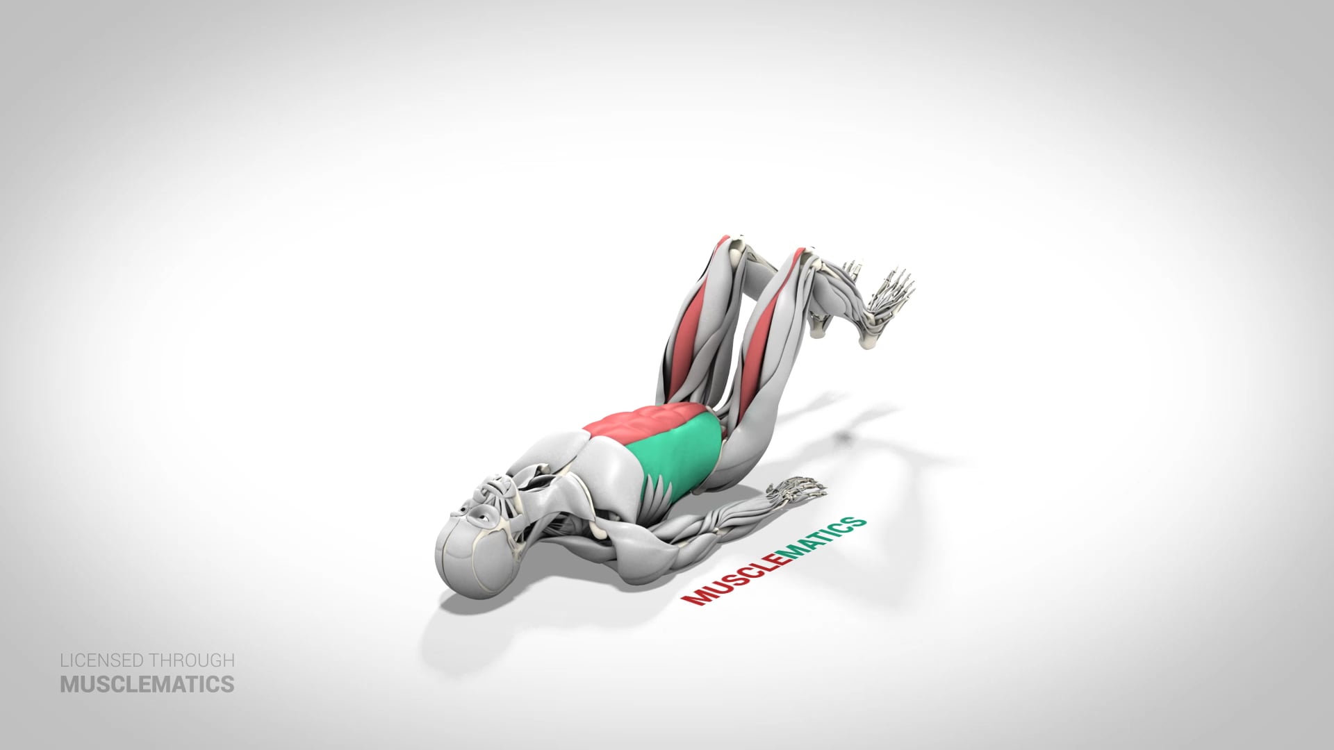 Double-Leg Lowering With Bent Knees - (View 2)