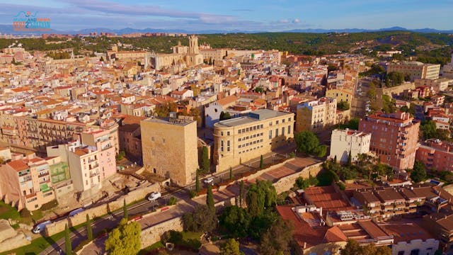 15.5 CHARLIE DIAGO - MI YAYO