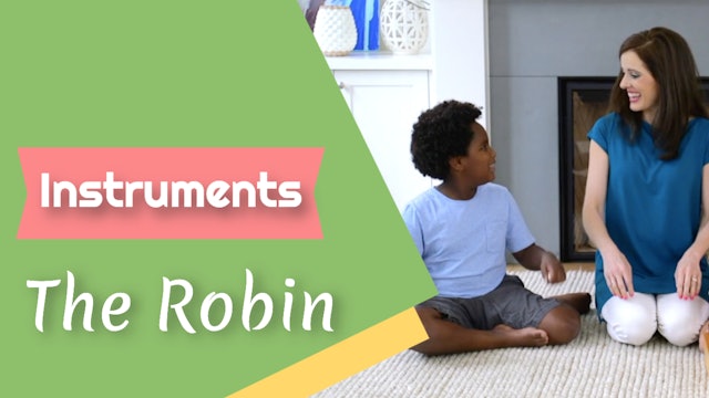 The Robin- Instruments