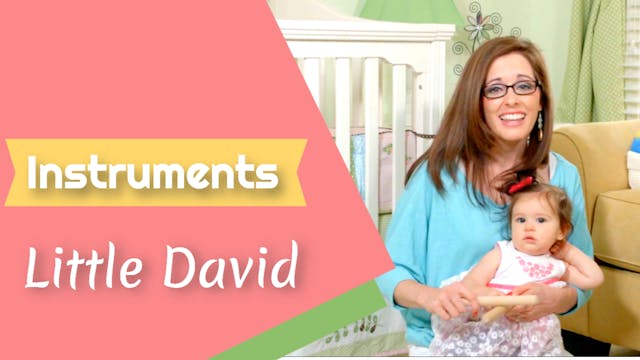 Little David- Instruments
