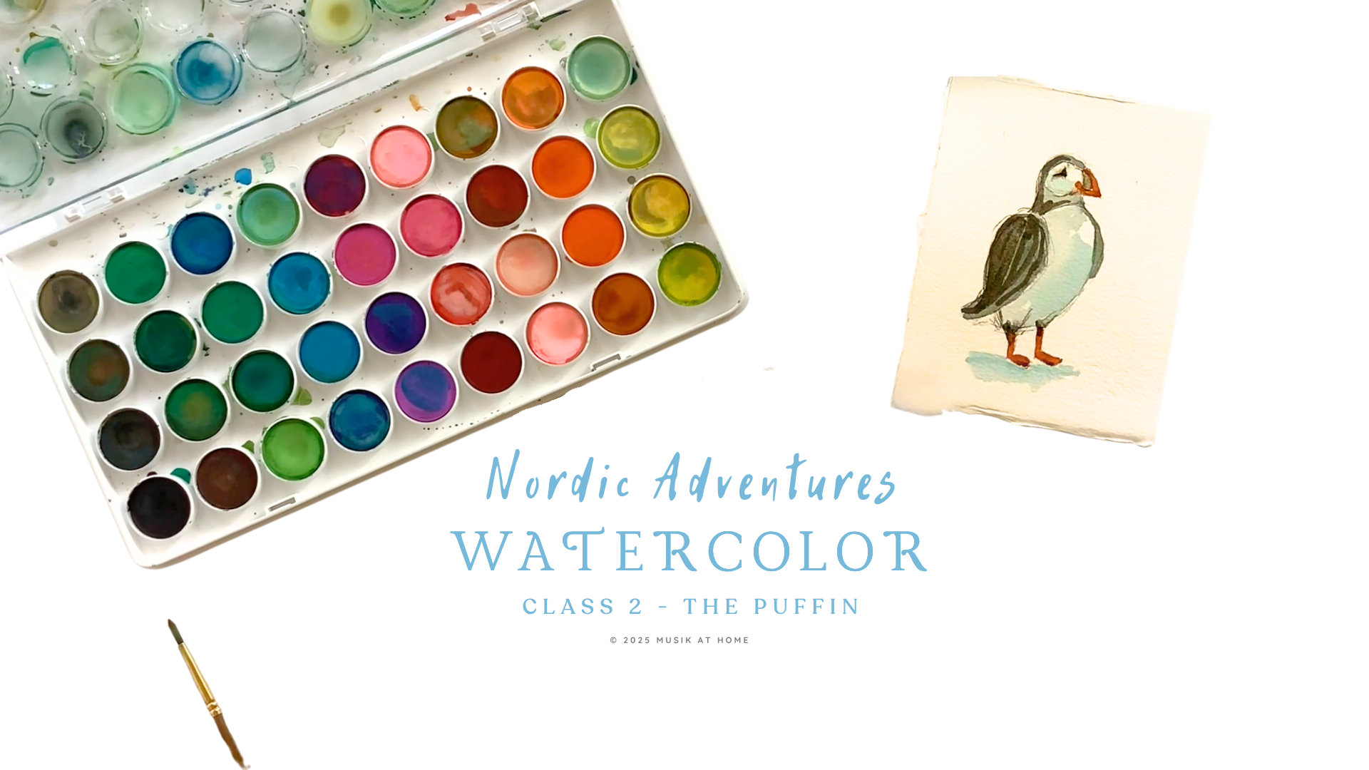 Nordic Adventures Watercolor: Puffin