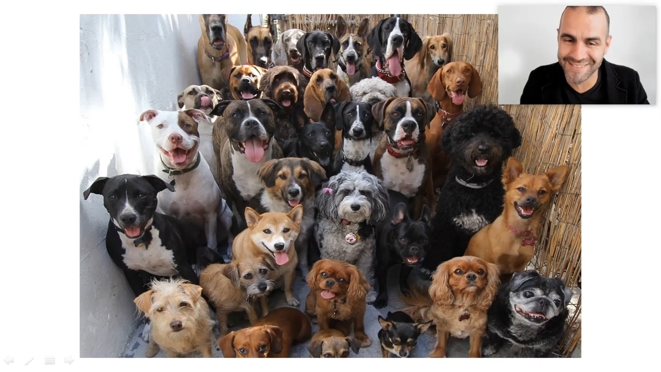 How to make your Mussar practice life-giving, sustainable, and rewarding ❦ #5