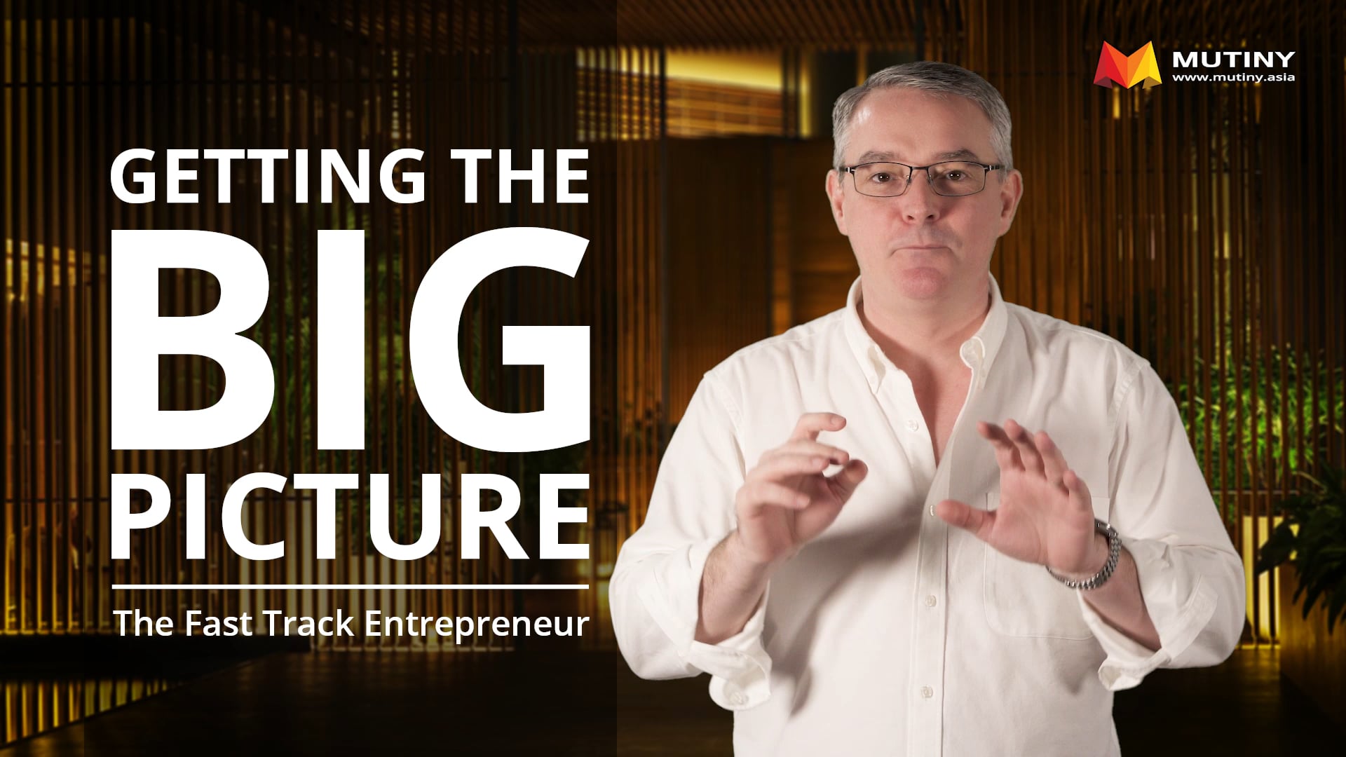 The Fast Tack Entrepreneur - The Big Picture