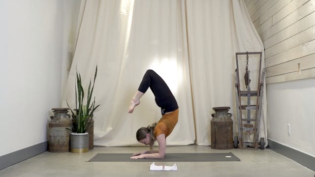 Forearm Stand with Jessica | 20 minutes 