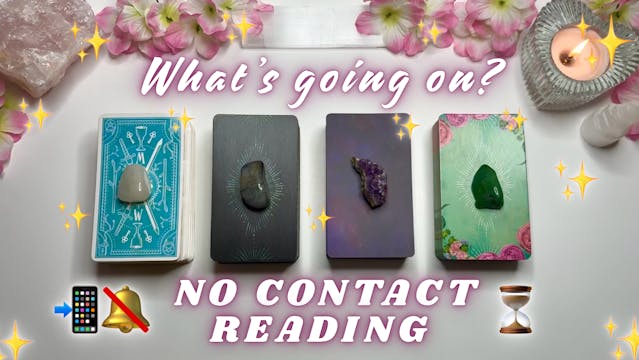 No Contact - Extended Readings