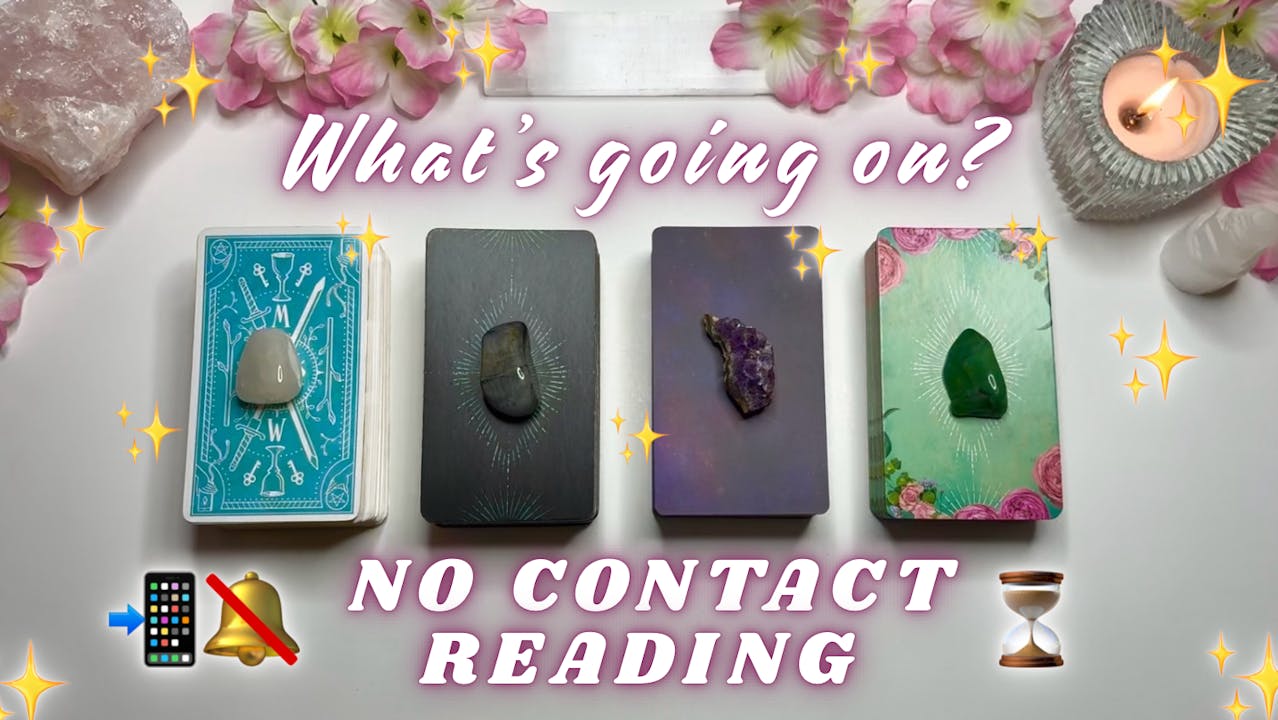 No Contact - Extended Readings