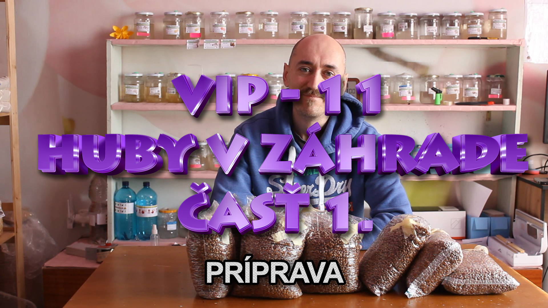 VIP 11 - Mushrooms in a garden 1