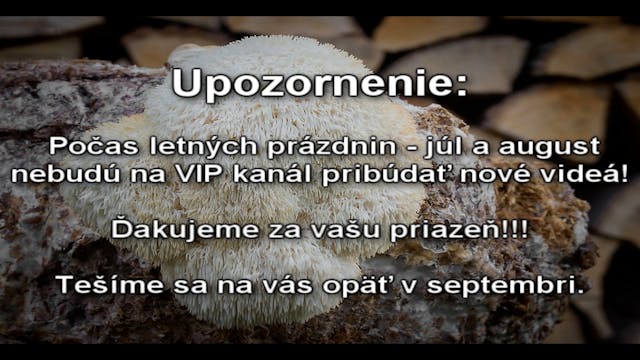 Letné prázdniny - oznam