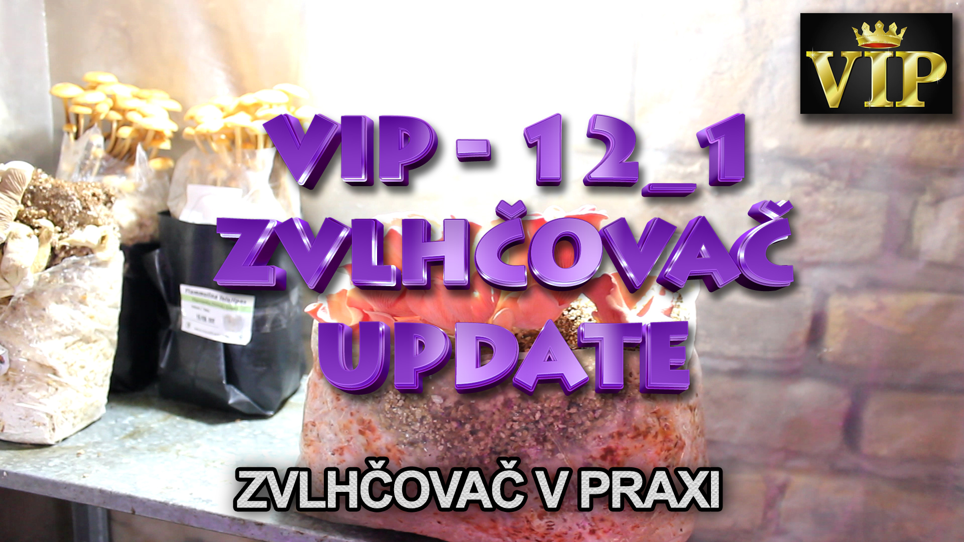 VIP 12_1 - Humidifier in my fruiting room