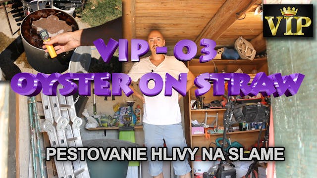 VIP 03 - pestovanie hlivy na slame