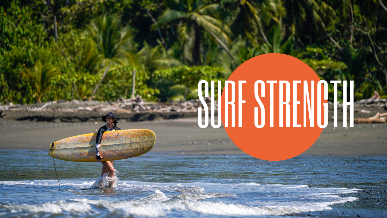 My Daily Reform Video