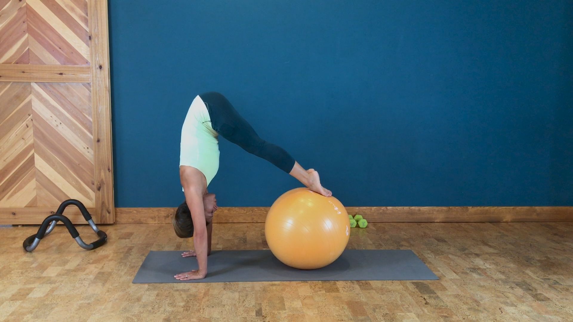 Halo Trainer 8.30.19