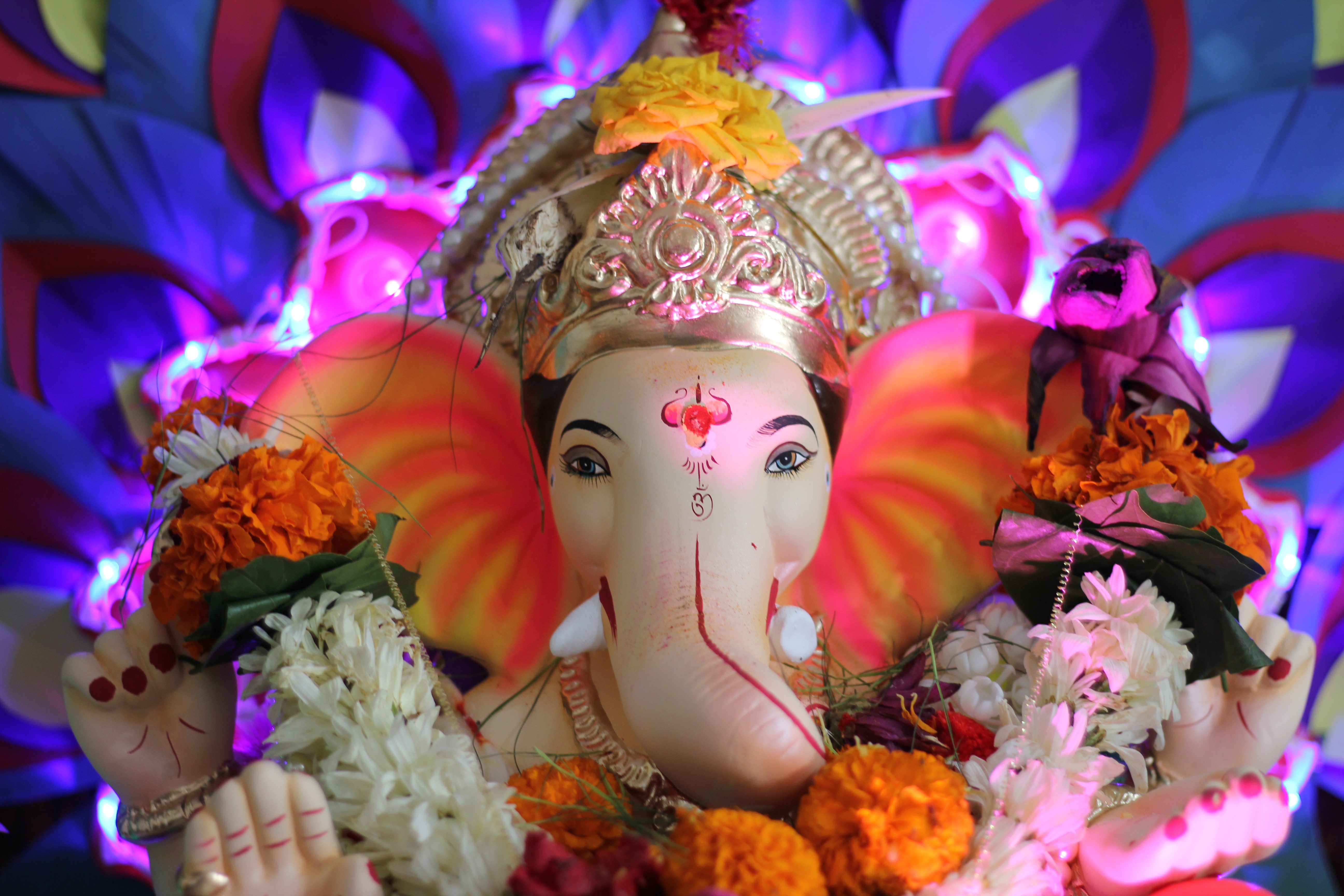 Faith and Festivities