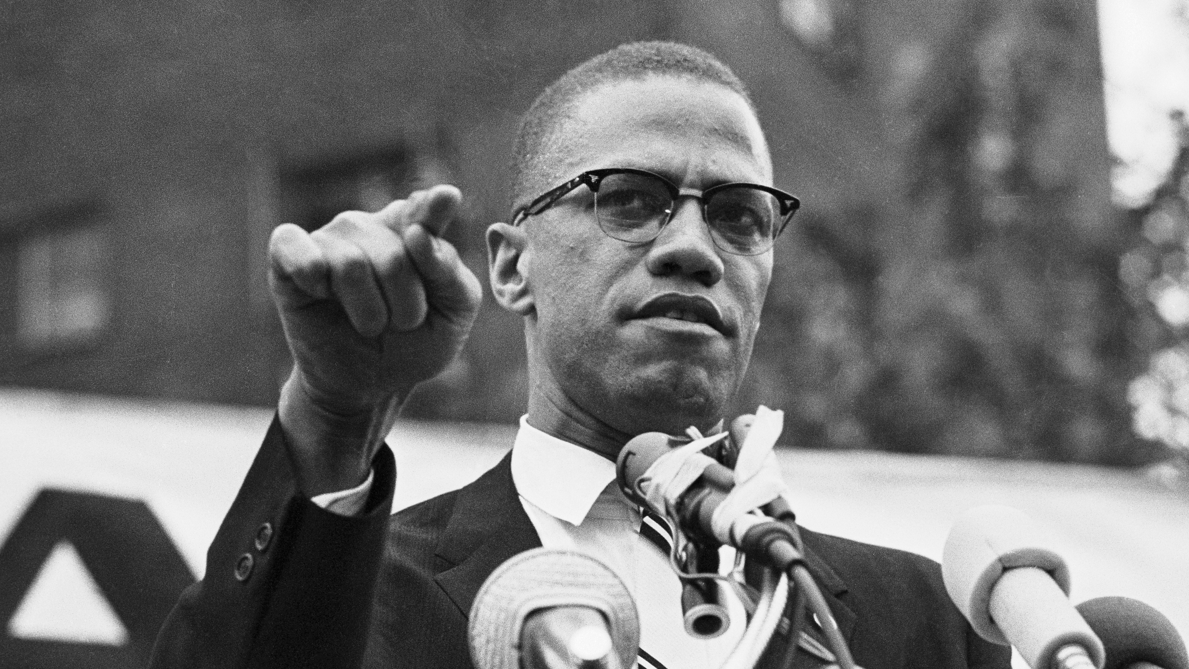 Famous Faces Quizzes