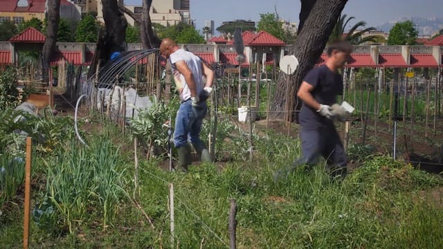 VISIONI DAL MONDO - PONTICELLI TERRA BUONA_SUB ENG