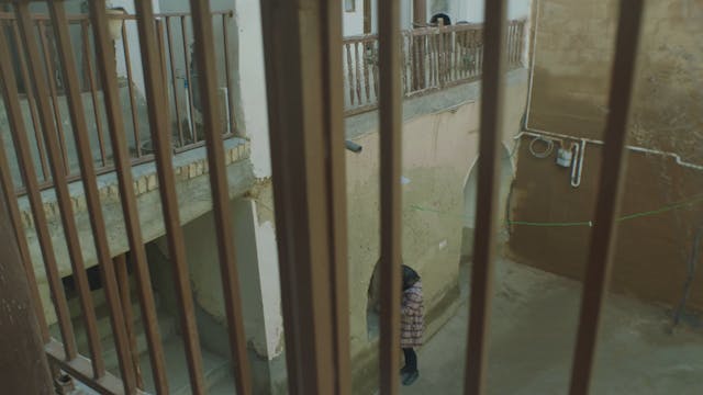 EFEBO - METAMORPHOSIS IN THE SLAUGHTERHOUSE_2 dicembre ore 16