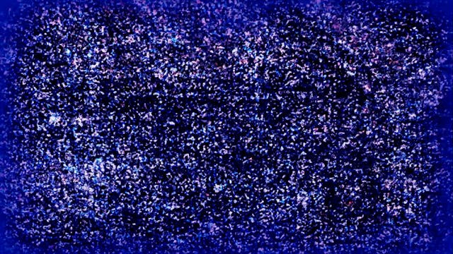 SEDICICORTO 2021 - WHO, WHAT AND WHEN-ENG