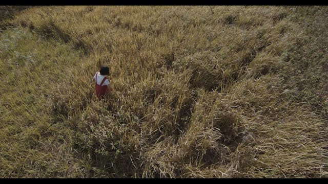 ASIATICA - The Graduation of Edison 