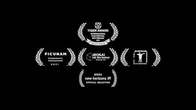 SHORTS 2021 - pebbles