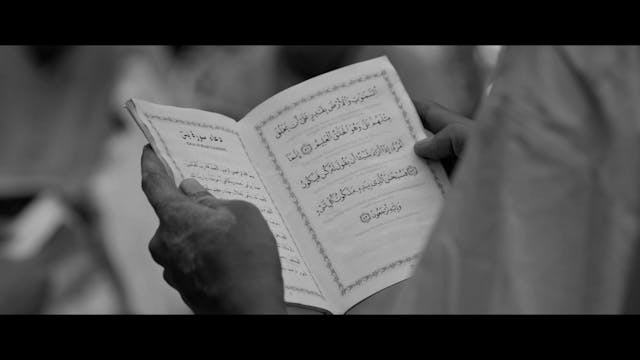 FEFF 2021 - HailDriver_FEATURE_clean