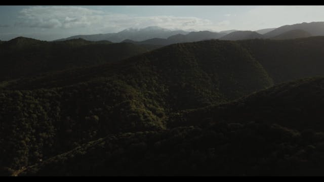 CAPRI HOLLYWOOD 2022 - DALIA_ProRes_sub_eng-003 Prem1ere Srl