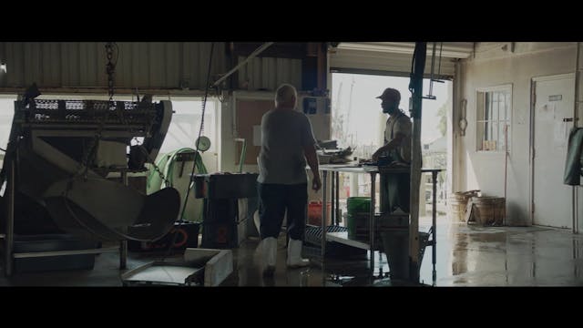 In viaggio verso un sogno - vor