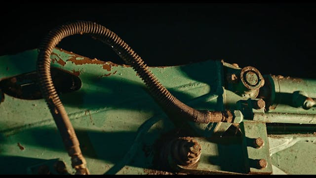 CAPRI HOLLYWOOD 2022 - CANI_embeddedEngSub_H264 Prem1ere Srl