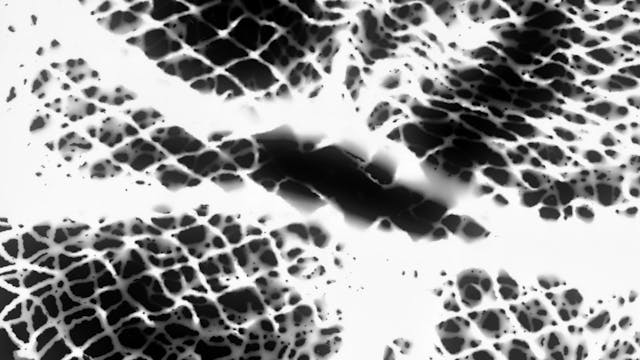 FILMMAKER - L'ouvert